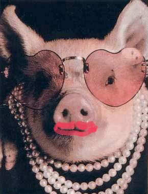 AFA Lipstick on a Pig
